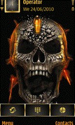 game pic for bullet in skull